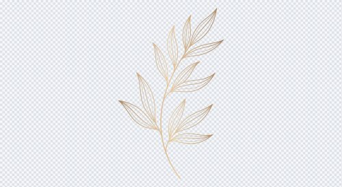 Gold Botanical Leaf Line Art PNG Illustration for Wedding Invitations