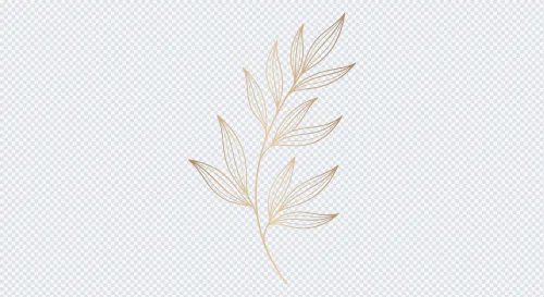 Minimalist gold botanical leaf branch line art illustration.